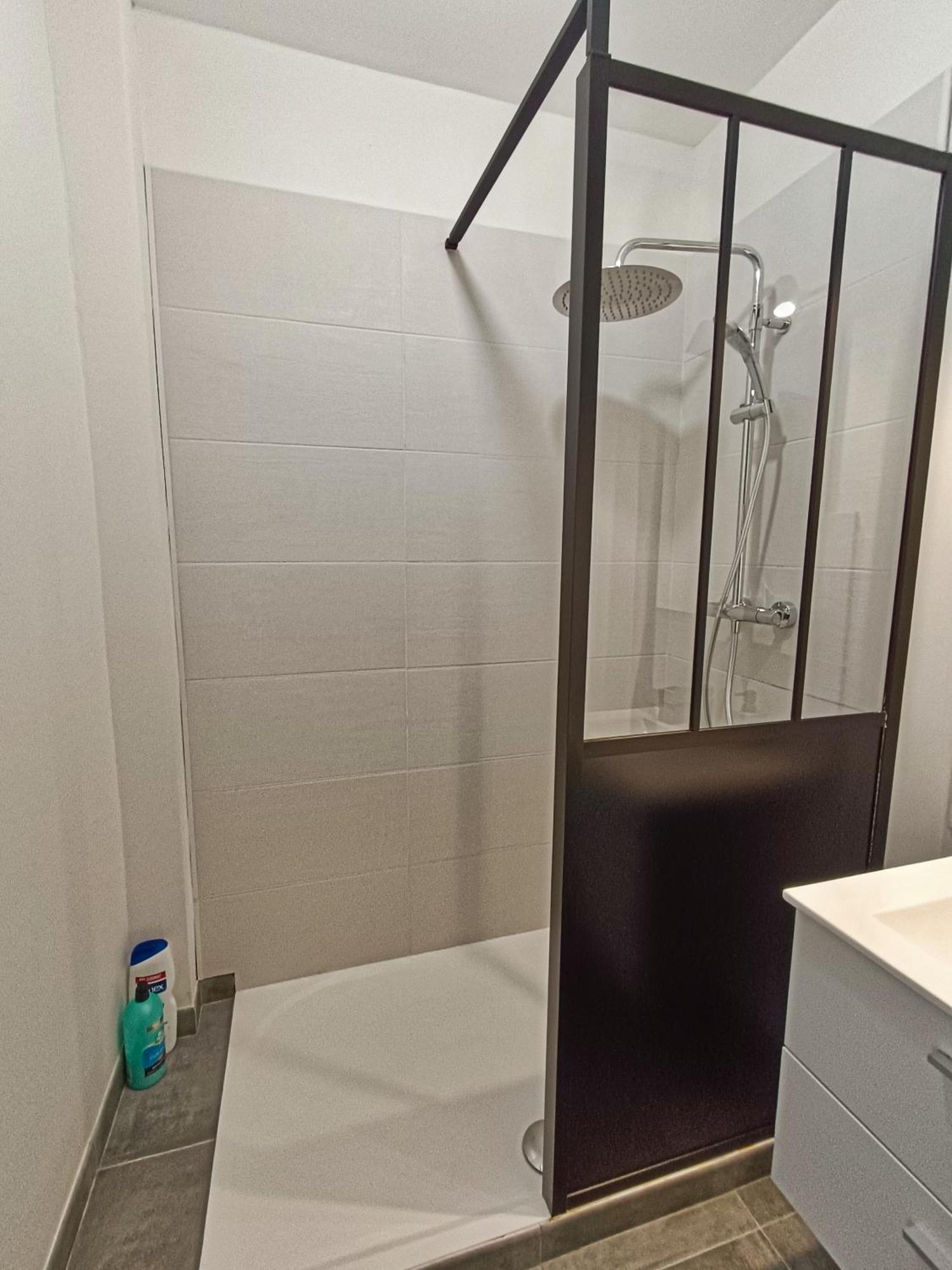 Apartament La Belle Aude Climatise Carcassonne Zewnętrze zdjęcie