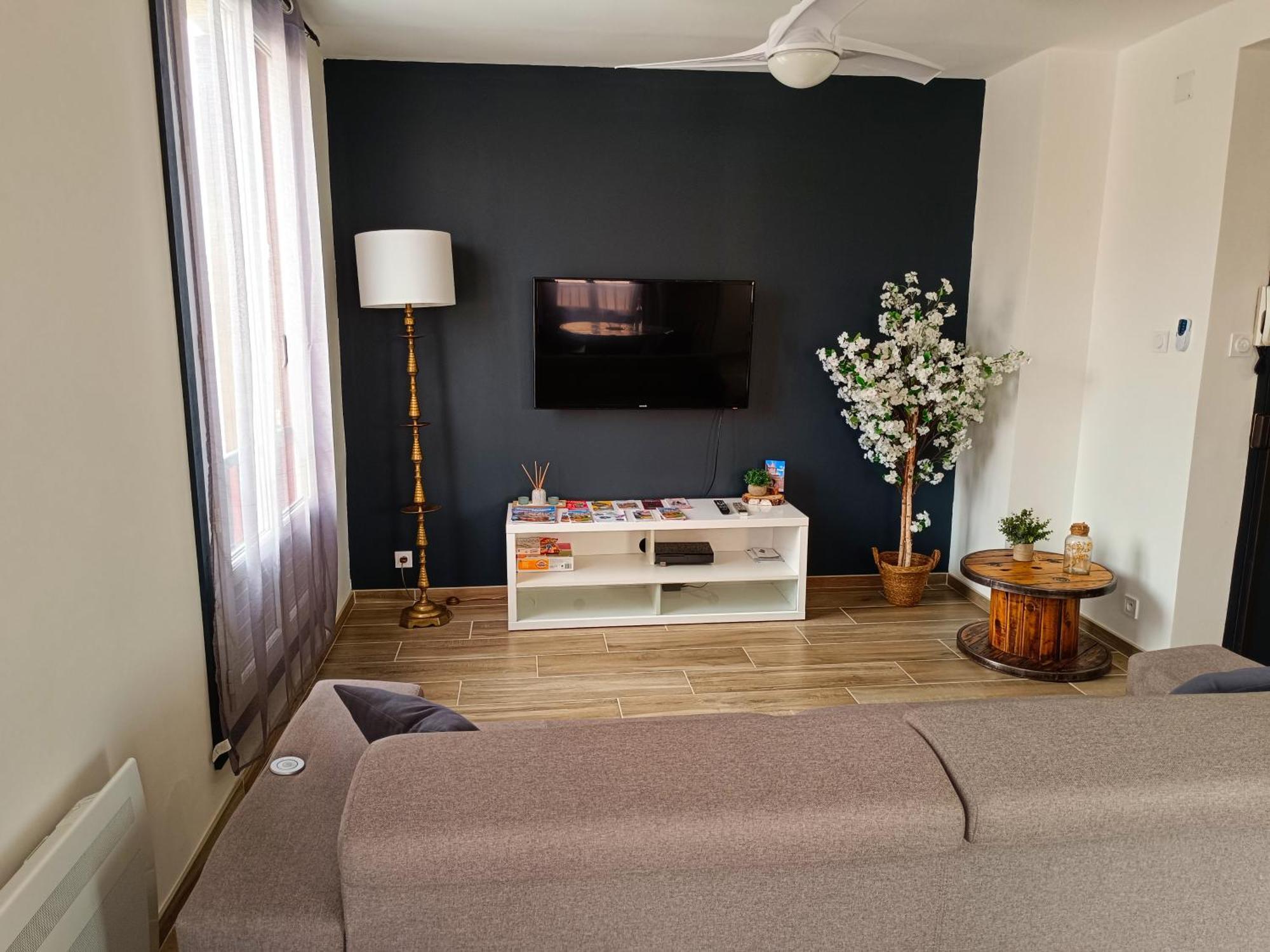 Apartament La Belle Aude Climatise Carcassonne Zewnętrze zdjęcie
