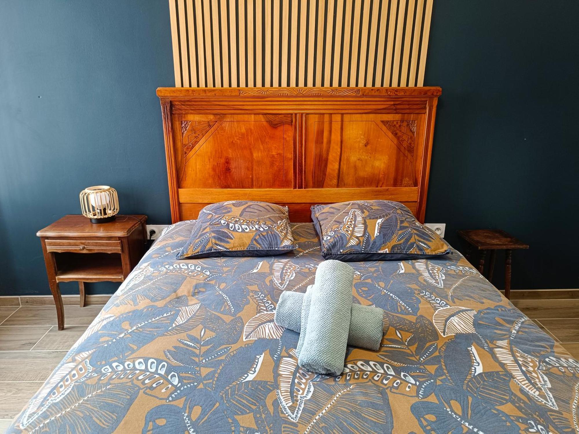 Apartament La Belle Aude Climatise Carcassonne Zewnętrze zdjęcie